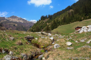 Mehr über den Artikel erfahren Segnas bei Disentis / Mustér in der Region Surselva