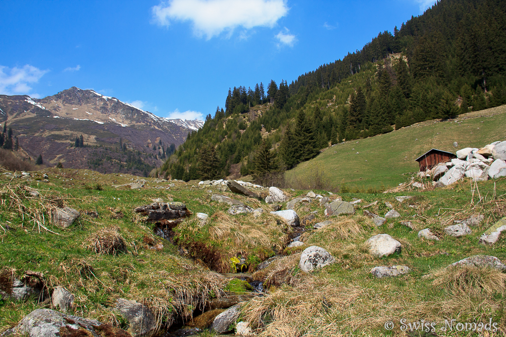 Du betrachtest gerade Segnas bei Disentis / Mustér in der Region Surselva