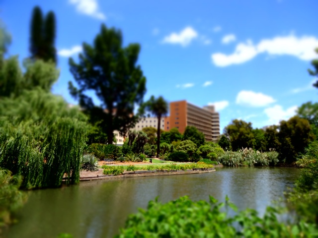 Botanischer Garten Adelaide