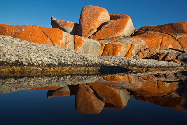 Ein Morgenspaziergang in der Bay of Fires auf der Freycinet Peninsula