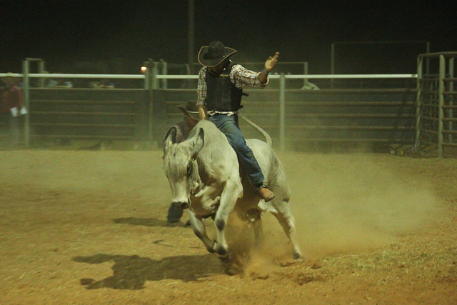 Bull ride Birdsville Rodeo