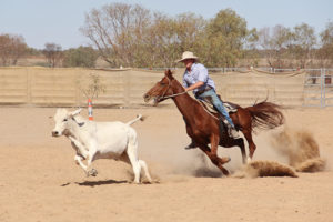 Read more about the article Birdsville Rodeo. Eine raue, staubige, ultra-coole Outback Erfahrung.