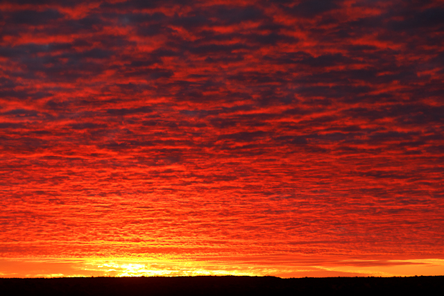 Sonnenuntergang Simpson Desert