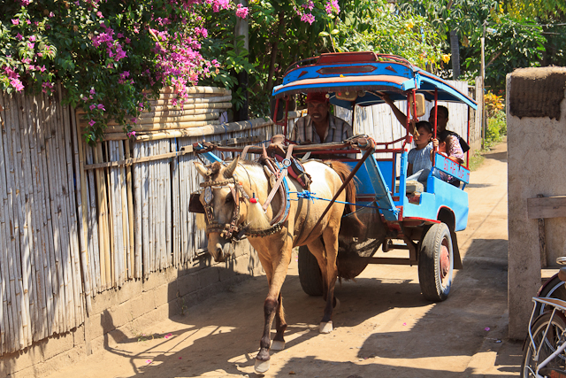 Transport Cidomo