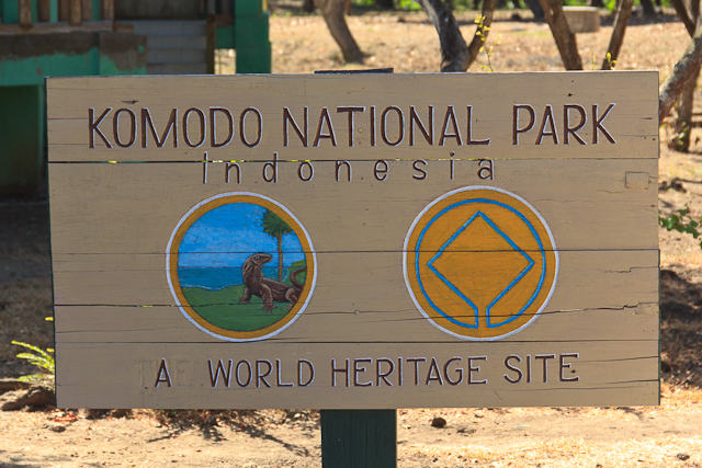 Mehr über den Artikel erfahren Tipps für deinen Besuch im Komodo Nationalpark in Indonesien
