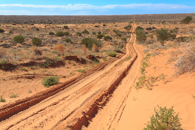 Simpson Desert