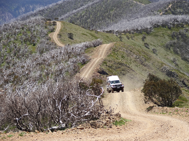 Victorian High Country