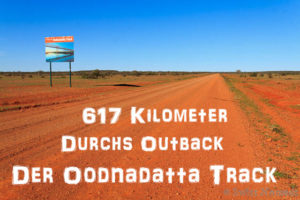 Read more about the article Oodnadatta Track – Der Outback Track entlang der Wasserquellen