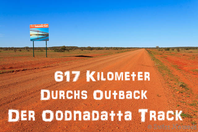 Mehr über den Artikel erfahren Oodnadatta Track – Der Outback Track entlang der Wasserquellen