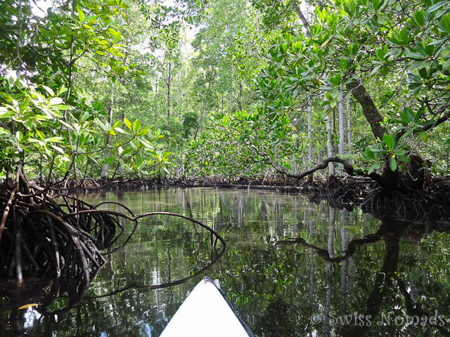 Kajak Tour Pulau Pef