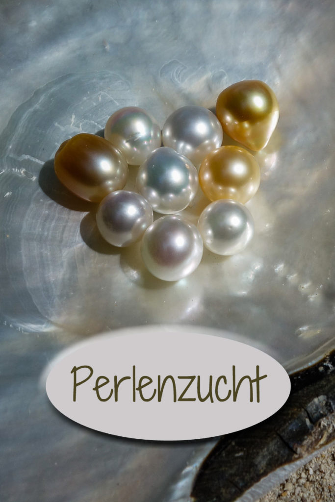 Perlenzucht auf der Perlenfarm