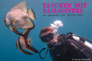 Read more about the article Tauchen mit Raja4Divers am Hausriff von Pulau Pef
