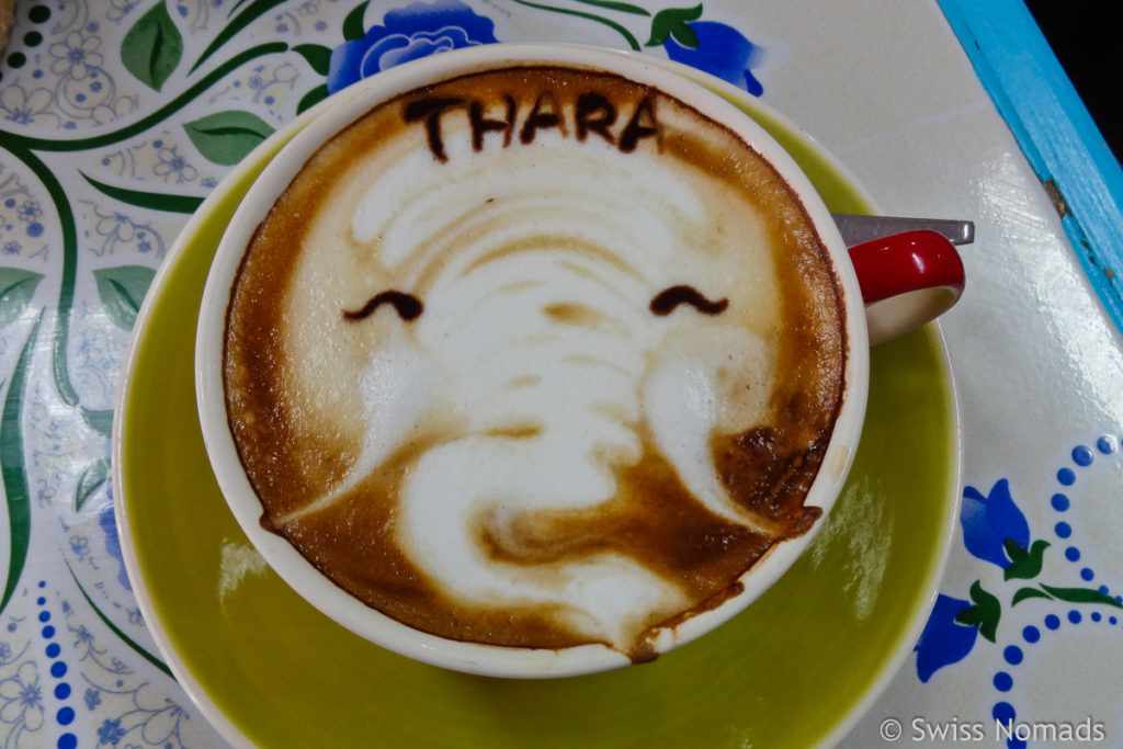 Liebstes Cafe in Chiang Mai Latte Art Elefant