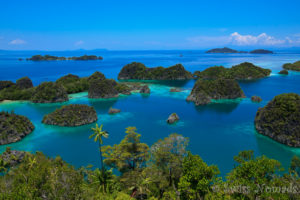 Read more about the article Die Raja Ampat Tagestour zu den Fam Inseln ist atembereaubend