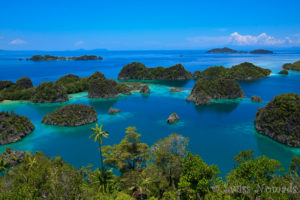 Mehr über den Artikel erfahren Die Raja Ampat Tagestour zu den Fam Inseln ist atembereaubend