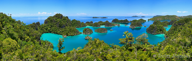 Aussicht über die Karstlandschaft von Raja Ampat