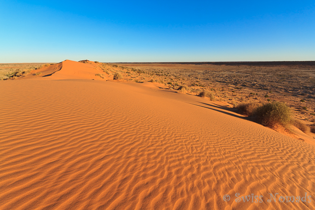 Die Simpson Desert in Australien