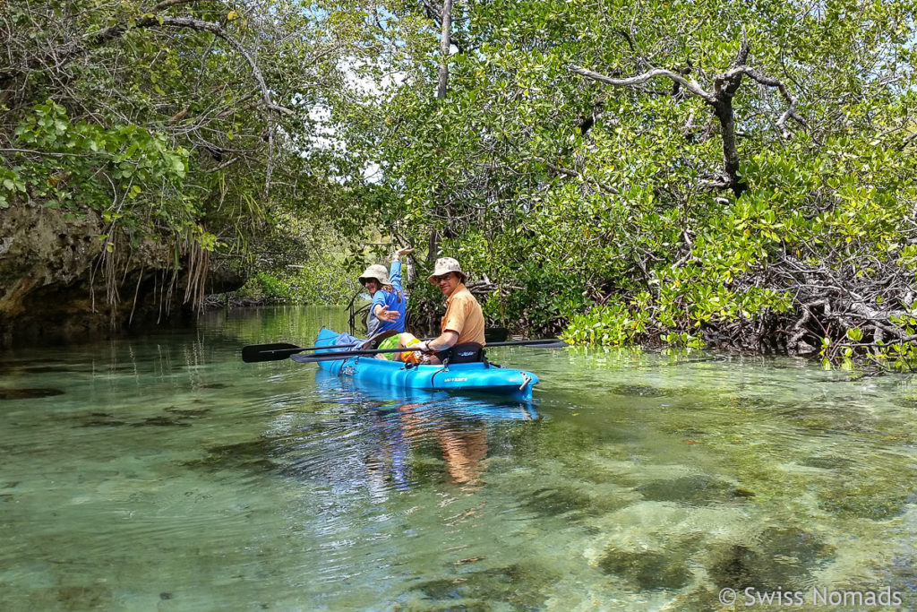 Kayaken in den Mangroven von Raja Ampat
