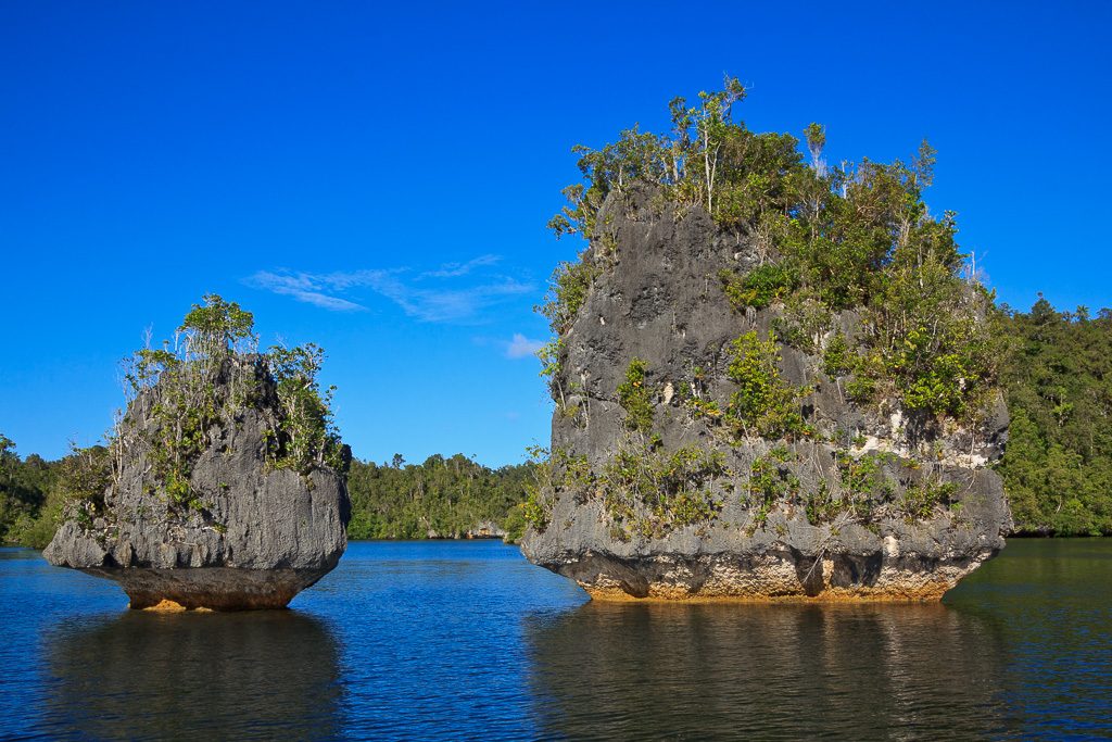 Kalksteinfelsen in Raja Ampat