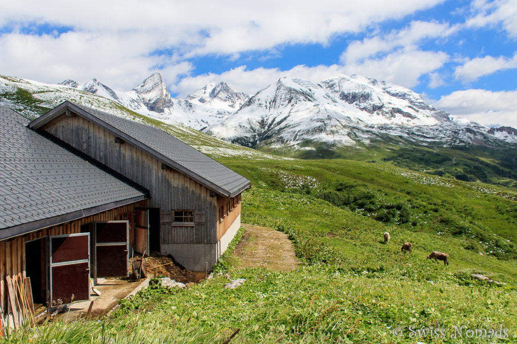 Die Alpe Monzabon beim Wandern in Lech auf dem Grünen Ring