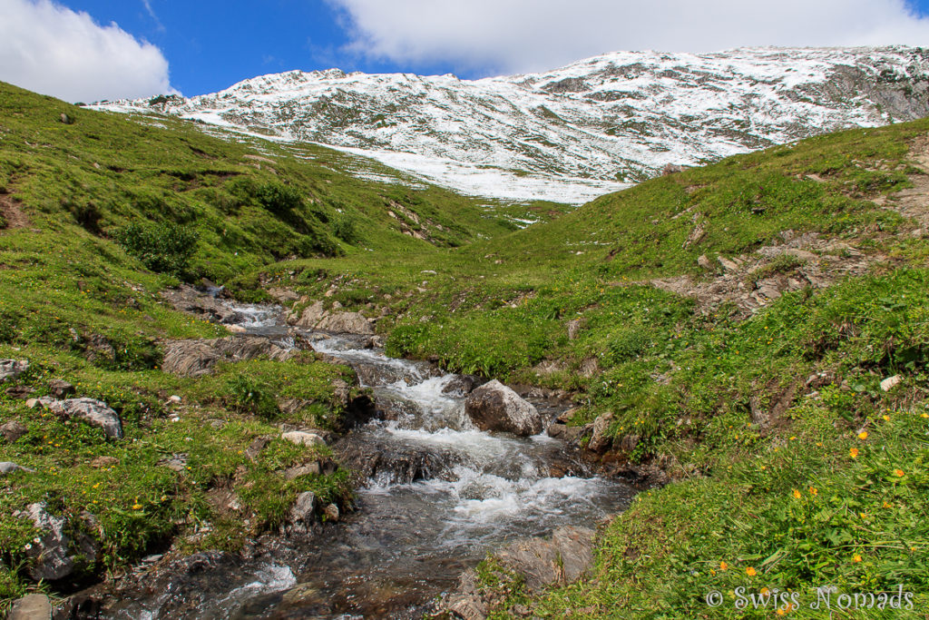 Ein Bach mit Schmelzwasser durch die grünen Wiesen auf dem Grünen Ring