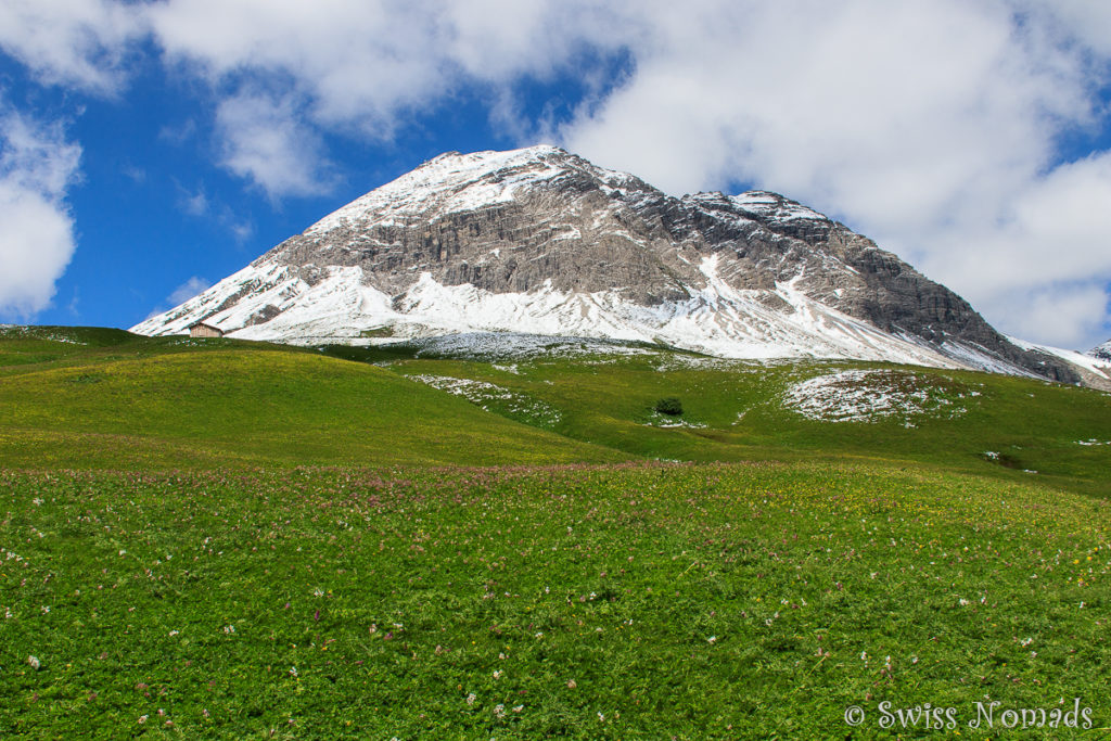 Verschneite Berge und grüne Wiesen beim Wandern in Lech auf dem Grünen Ring