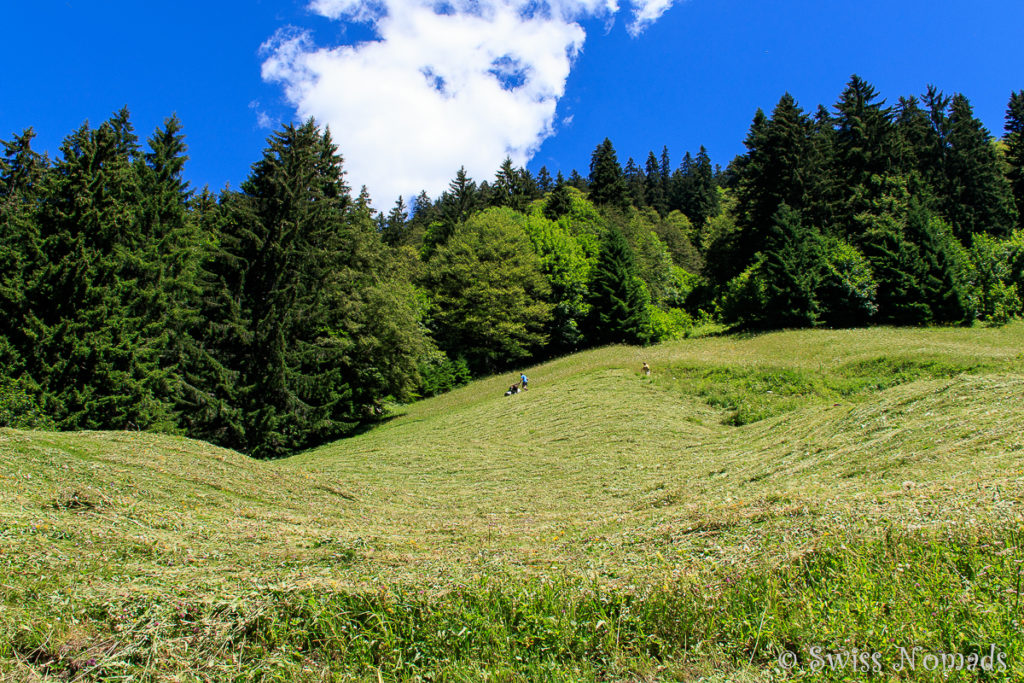 Bauer im Klostertal