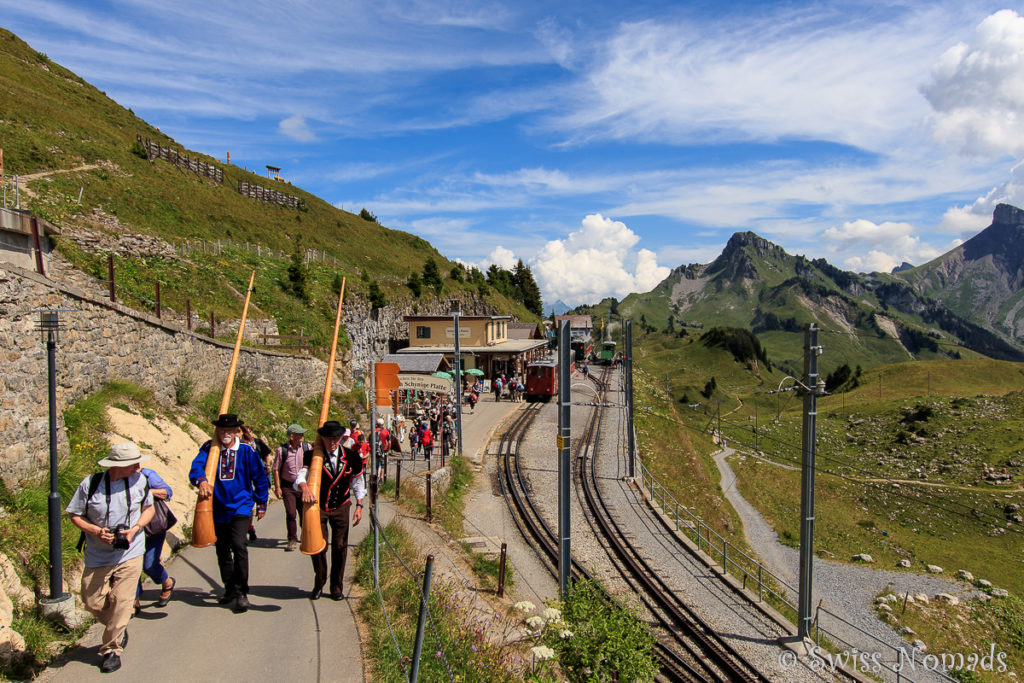 Alphornbläser auf der Schynigen Platte