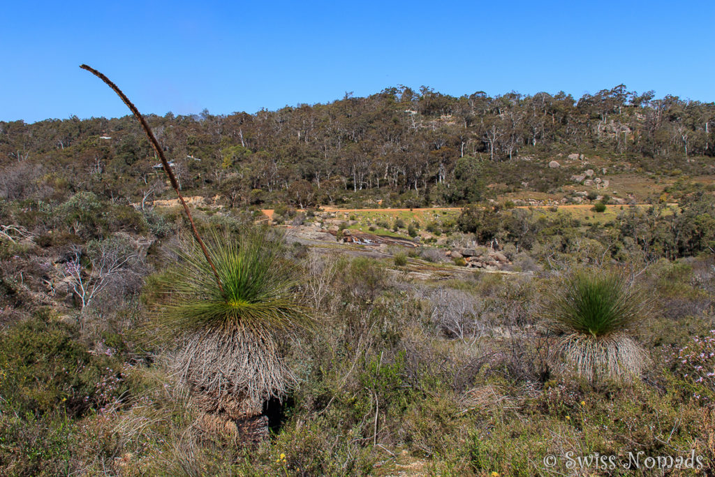 John Forrest Nationalpark