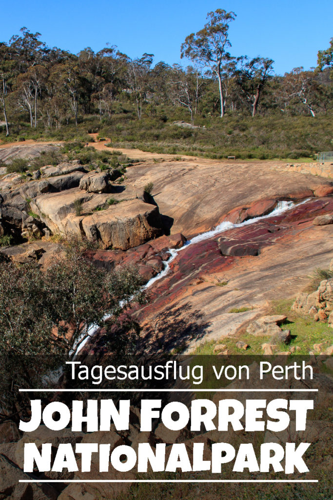 Der John Forrest Nationalpark bei Perth in Australien