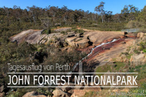 Read more about the article John Forrest Nationalpark – Tagesausflug von Perth