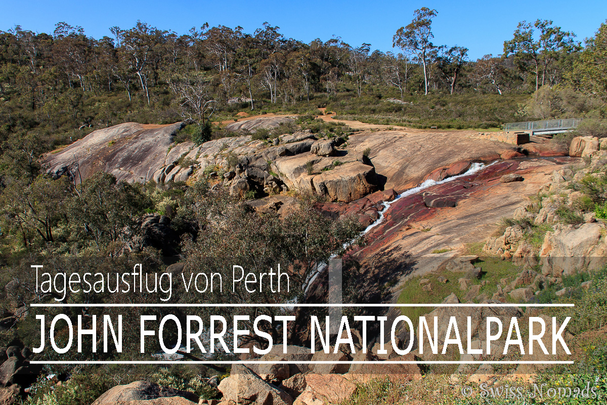 You are currently viewing John Forrest Nationalpark – Tagesausflug von Perth
