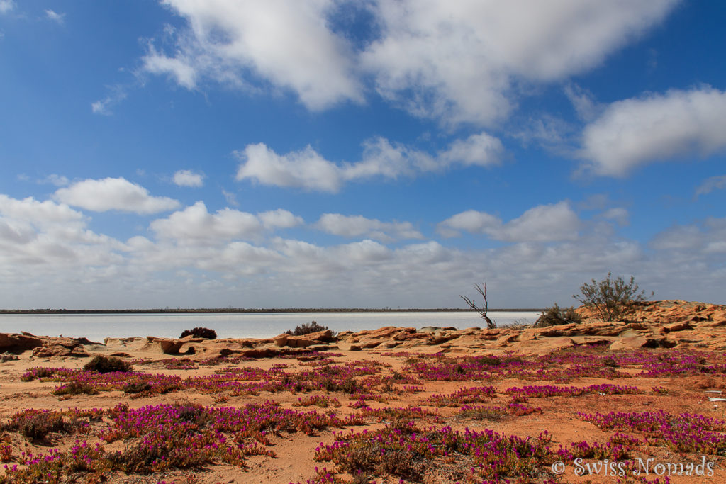 Lake Koorkoordine Australien