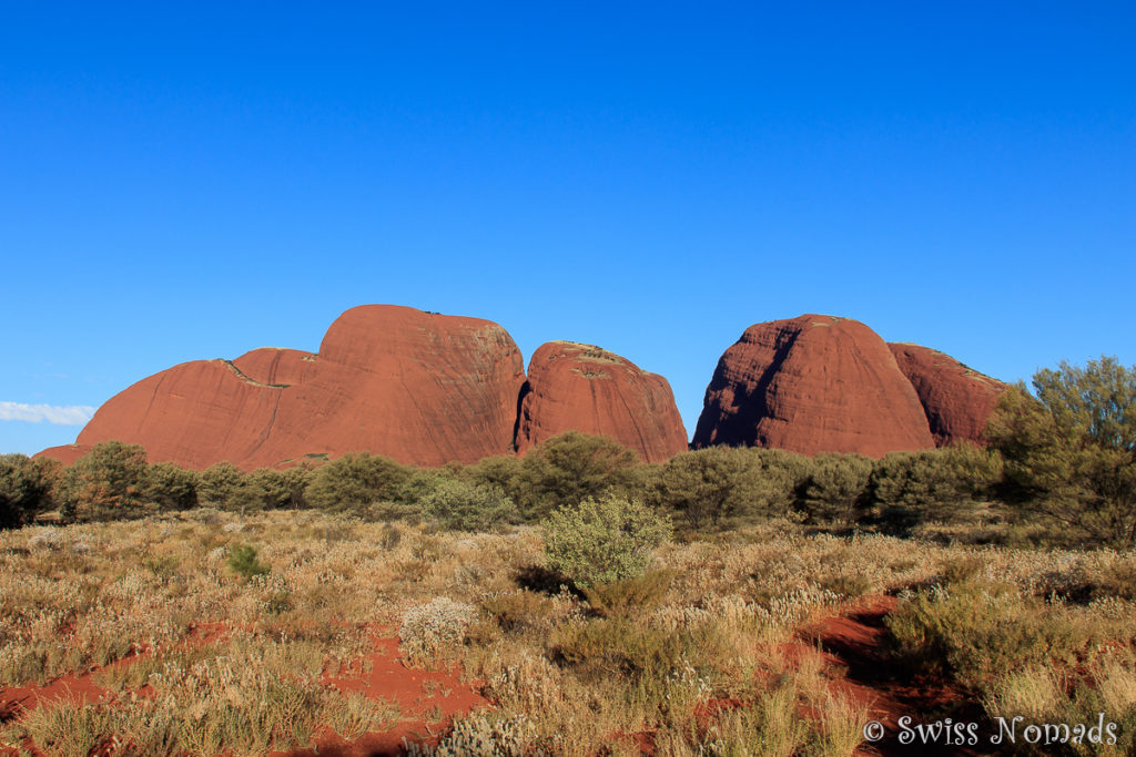 Die Felsformationen von Kata Tjuta sind ein traumhafter Anblick nach der langen Fahrt