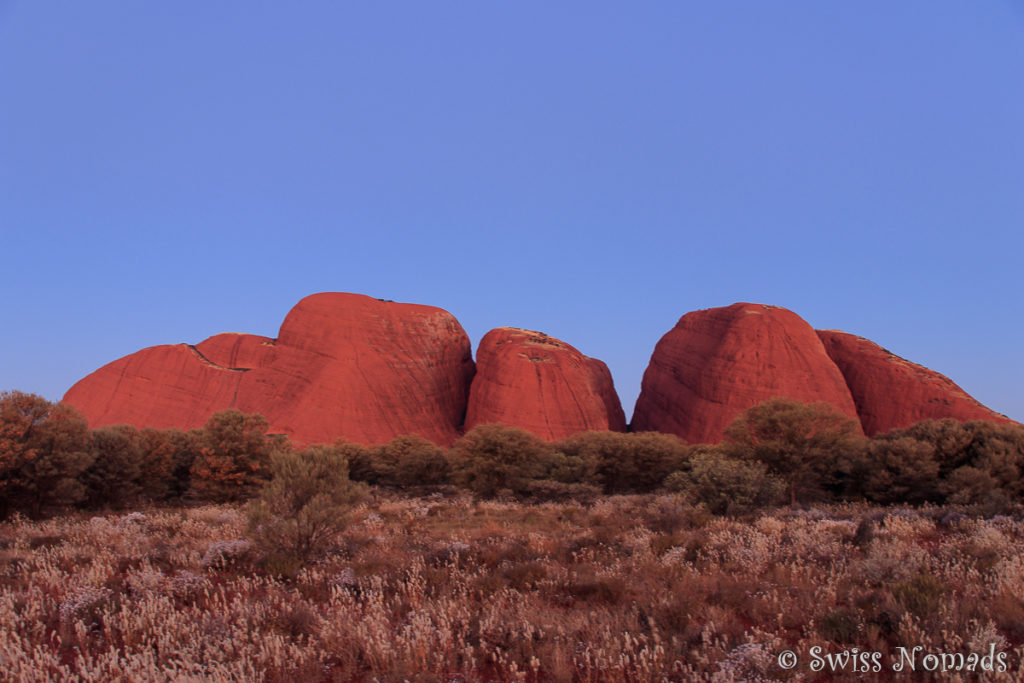 Die Felsen von Kata Tjuta ändern ihre Farbe während des Sonnenuntergangs