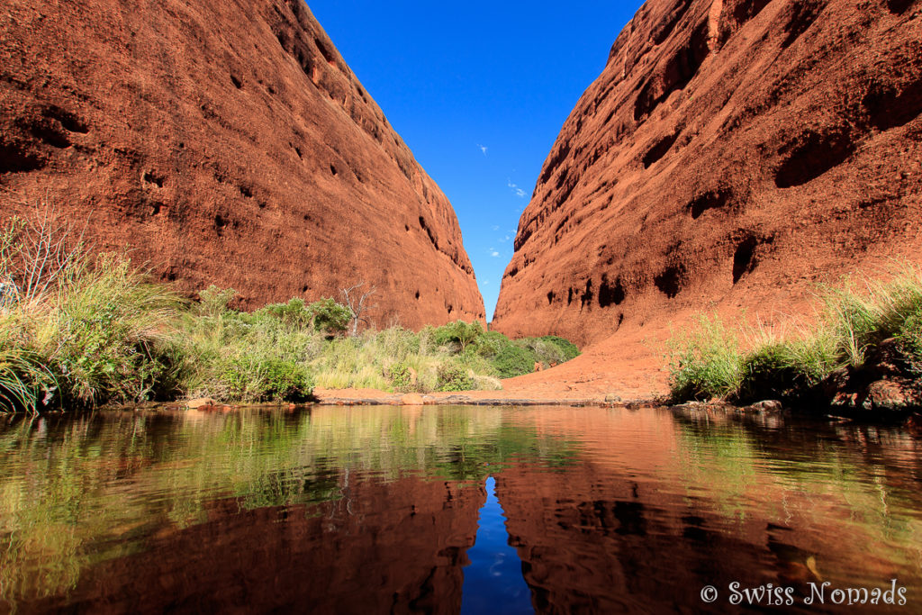 Es gibt ein schönes Wasserloch in der Walpa Schlucht bei Kata Tjuta