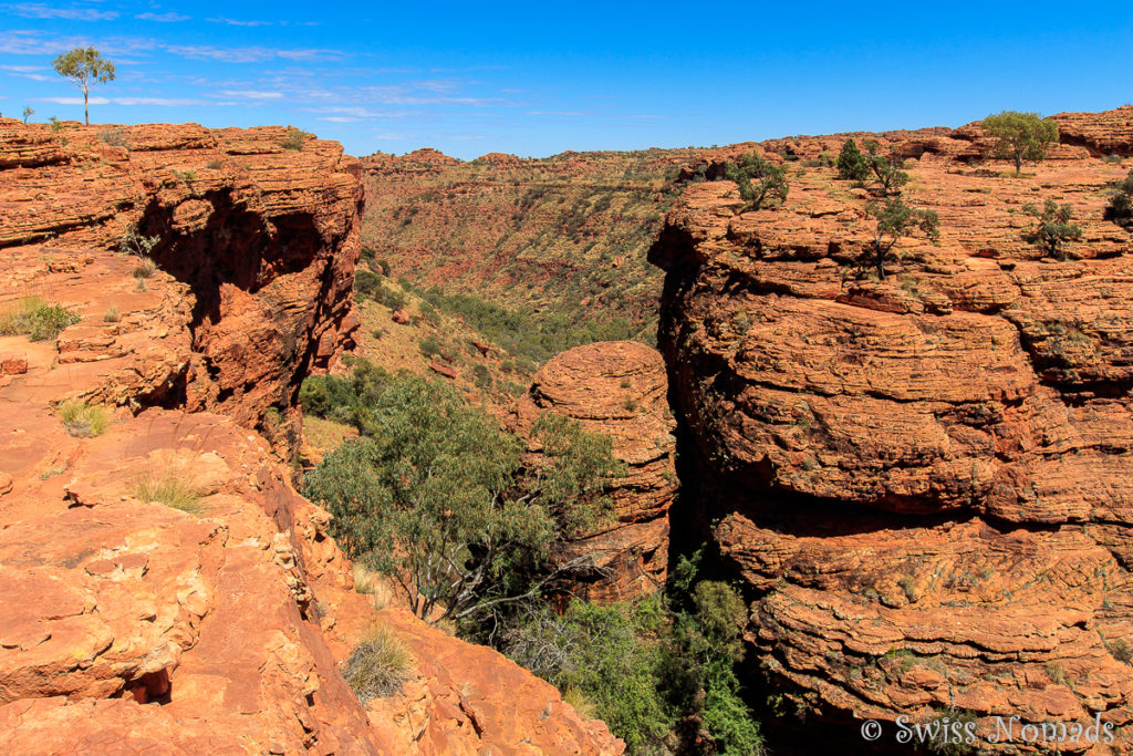 Die Schlucht des Kings Canyon wird immer enger