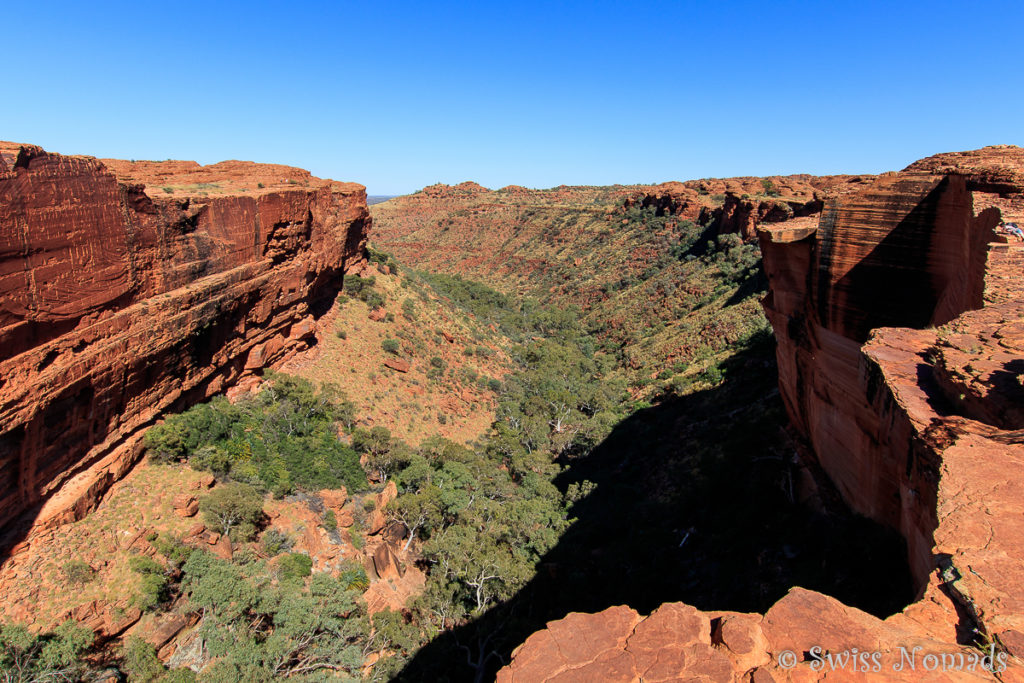 Der Kings Canyon Rim Walk führt entlang der tiefen Schlucht