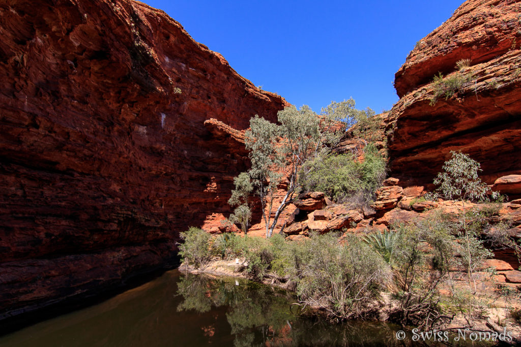 Auch wenn im Bach des Kings Canyon kein Wasser fliesst, gibt es ein permanentes Wasserloch