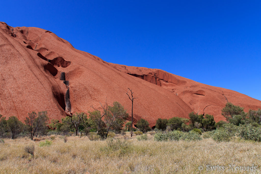 Der Uluru Base Walk ist eine grossartige Möglichkeit diesen riesigen Felsen zu erkunden