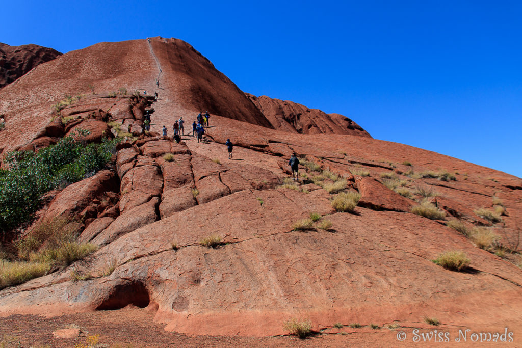 Viele Besucher besteigen Uluru