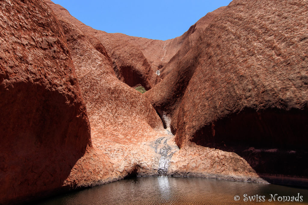 Es gibt mehrere Wasserlöcher um Uluru