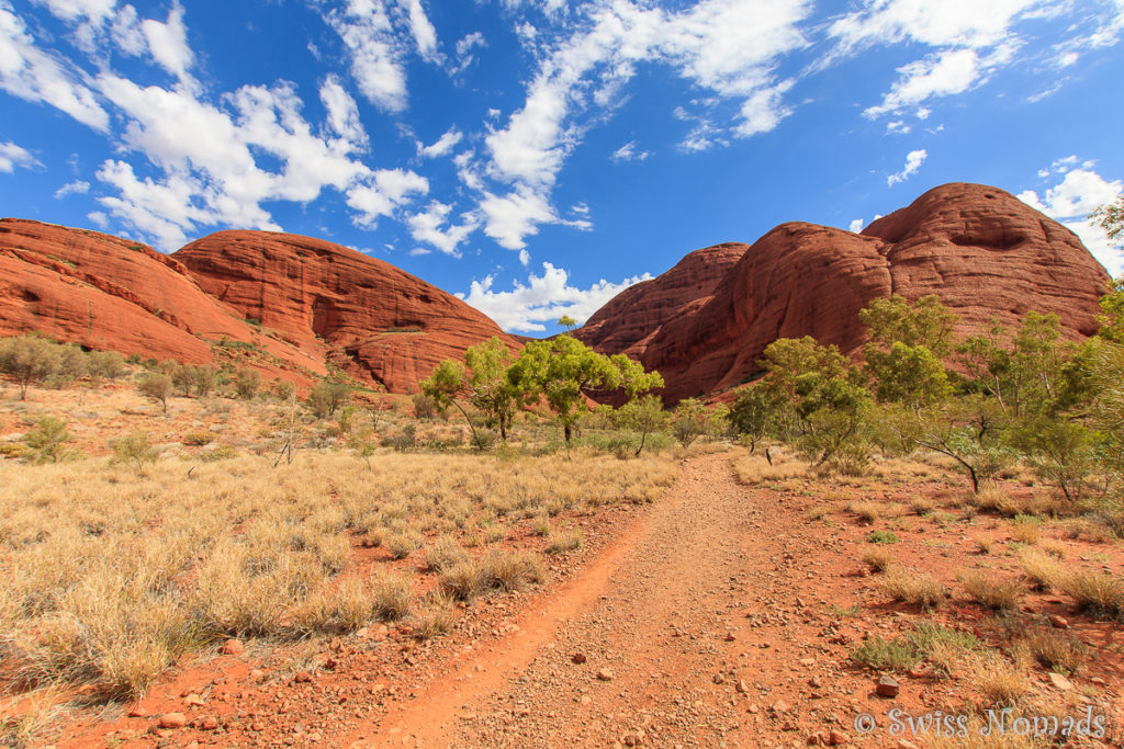 Der Valley of the Winds Walk durch Kata Tjuta (The Olgas) ist am besten am Morgen früh