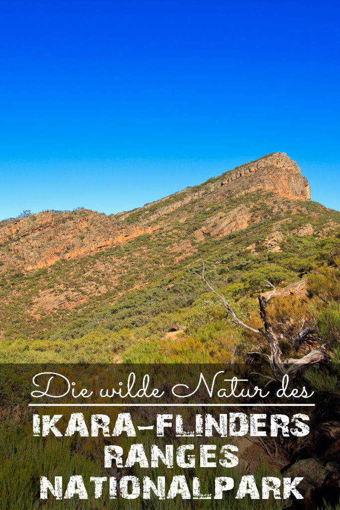 Ikara Flinders Ranges Nationalpark in Australien