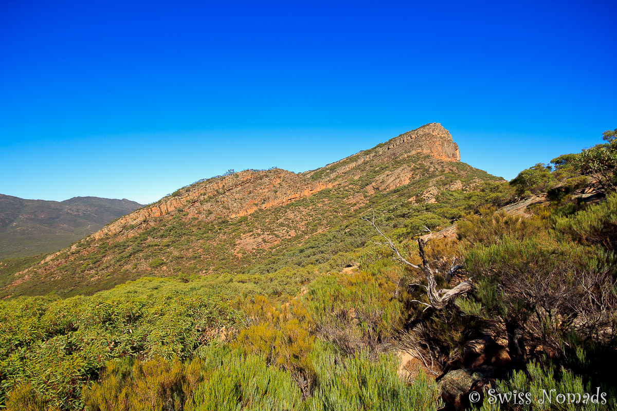 You are currently viewing Die wilde Natur des Ikara-Flinders Ranges Nationalpark