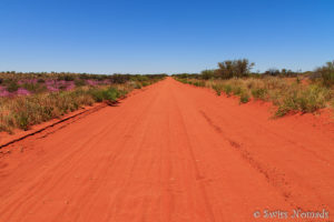 Read more about the article Der Roadtrip von Alice Springs nach Adelaide muss nicht langweilig sein