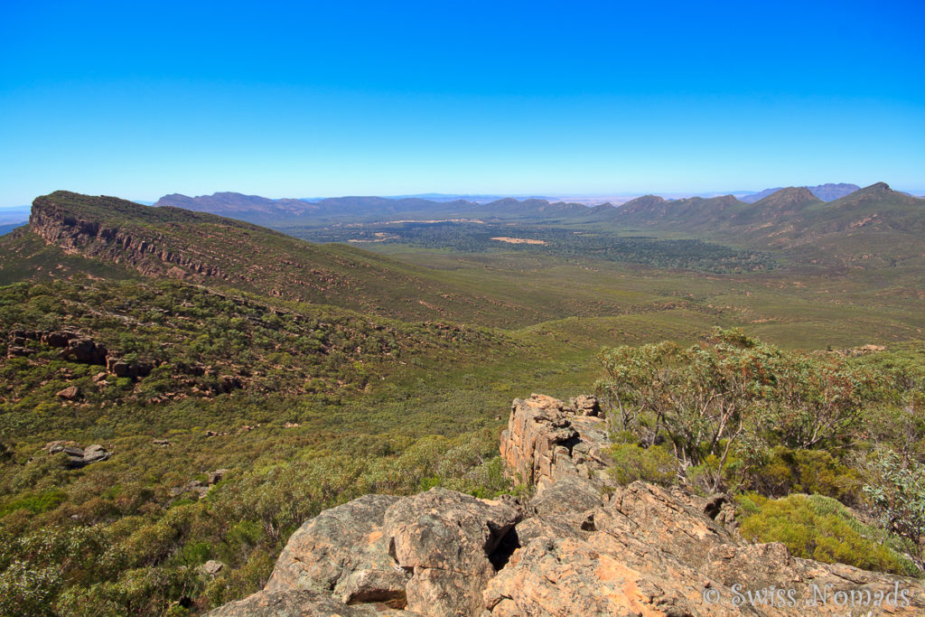 Die Aussicht vom St. Mary Peak über Wilpena Pound