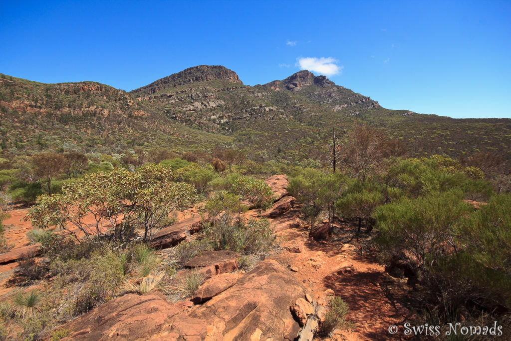 Auf dem Wanderweg im Ikara-Flinders Ranges Nationalpark