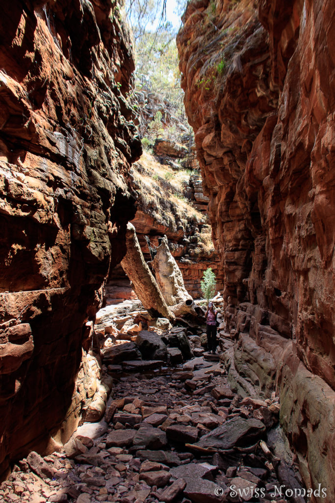 Die Alligator Gorge im Mt Remarkable Nationalpark