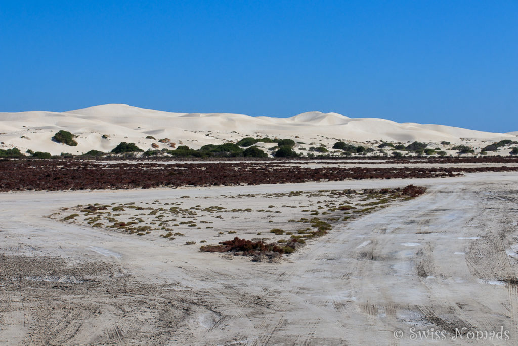 Fowlers Bay Eyre Halbinsel